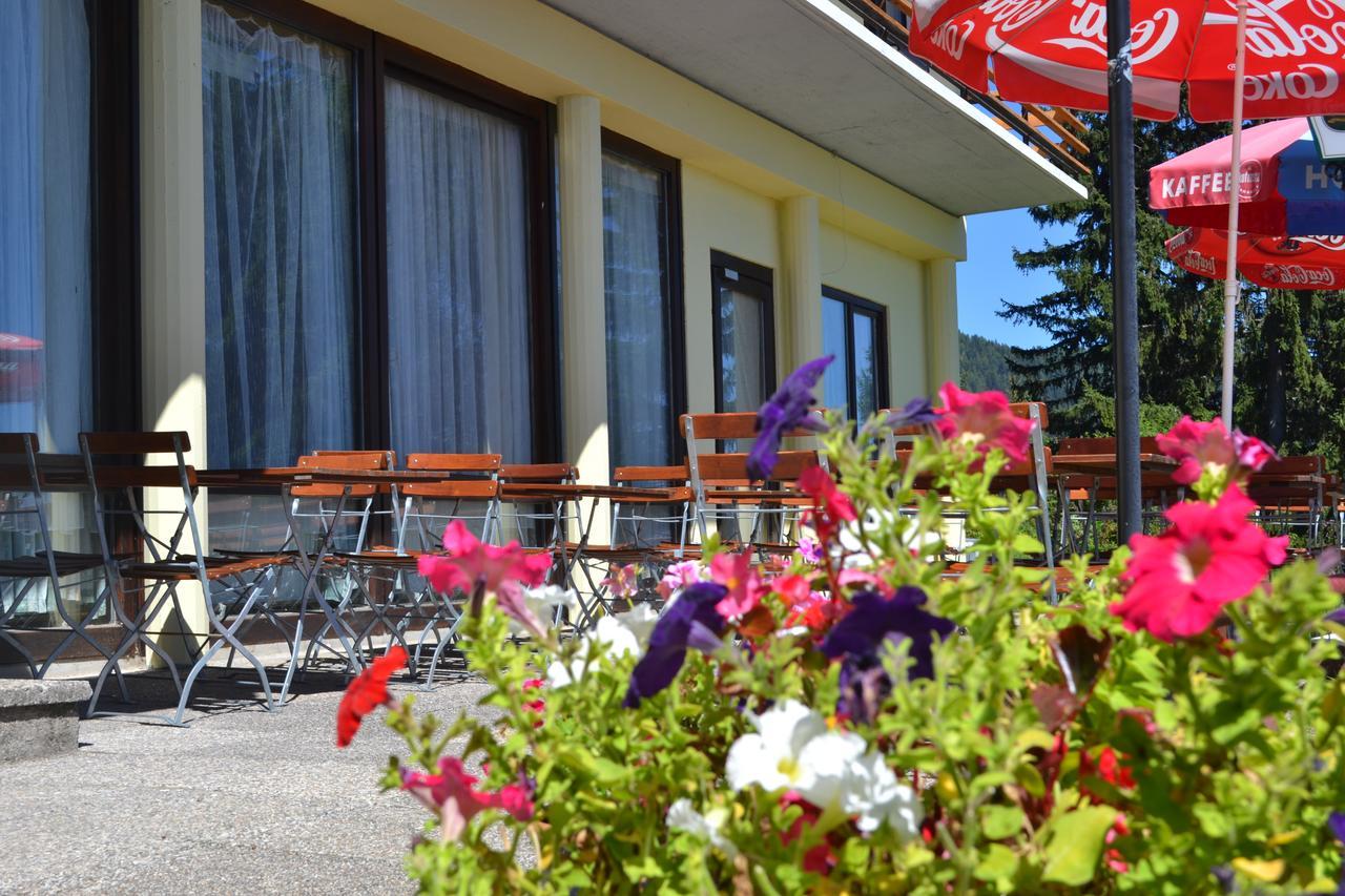 Hotel Alpinum Treffen Extérieur photo